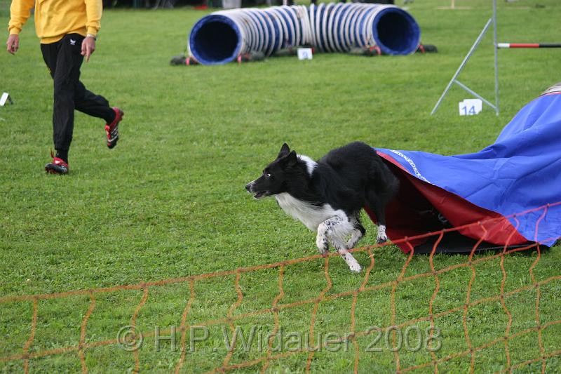 jubil.lusten. 012.jpg